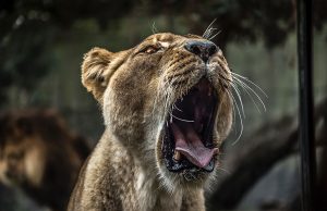 How To Use Basic Design Principles To Decorate Your Home