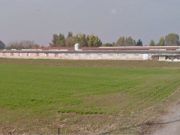 Lodi, giovane di 21 anni fucilato: il cadavere nei campi