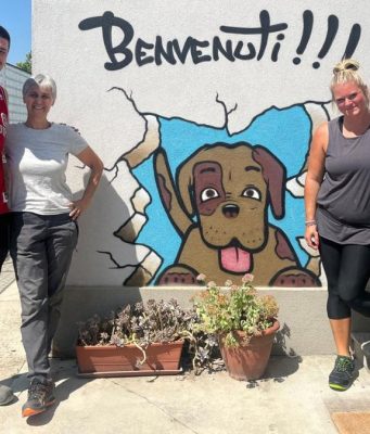 A.DI.CA., il Comune aumenta il contributo per ogni cane ospitato