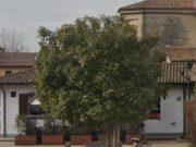 Minori aggrediscono bariste e clienti in un bar: scatta il D.A.C.U.R.