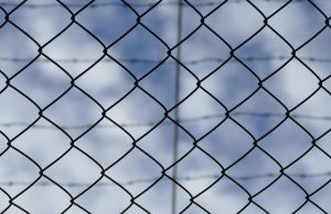 Il lodigiano Gheorghe, detenuto ad Alligator Alcatraz, sarà rimpatriato domani