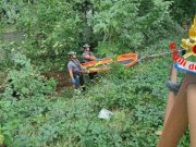 Travolto da un albero mentre lo taglia, muore pensionato a Senna
