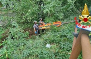 Travolto da un albero mentre lo taglia, muore pensionato a Senna