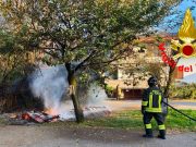 Colonia felina di Riozzo in fiamme: salvi i mici, rifugi inceneriti