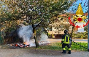 Colonia felina di Riozzo in fiamme: salvi i mici, rifugi inceneriti