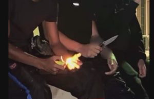 Smantellata una banda di “maranza”: cinque minorenni indagati, uno è lodigiano