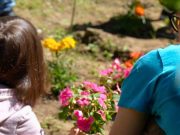Quando l’inclusione diventa realtà: il progetto In&Aut