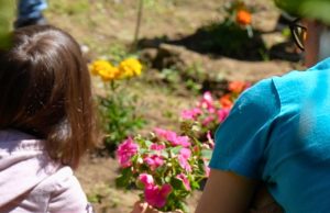 Quando l’inclusione diventa realtà: il progetto In&Aut