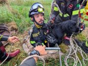 Cane precipita in un pozzo, i Vigili del Fuoco lo salvano