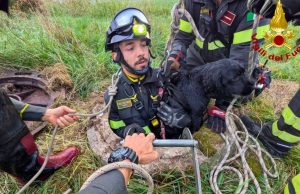 Cane precipita in un pozzo, i Vigili del Fuoco lo salvano