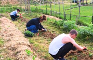 “Fuori di zappa!”, scuola e comunità insieme per coltivare il futuro