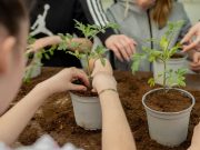 Quando l’agricoltura diventa inclusione e opportunità: si chiude il progetto F.A.R.O.