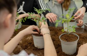 Quando l’agricoltura diventa inclusione e opportunità: si chiude il progetto F.A.R.O.