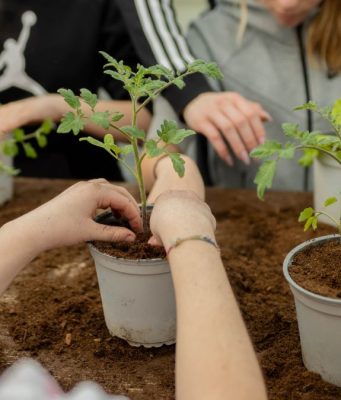 Quando l’agricoltura diventa inclusione e opportunità: si chiude il progetto F.A.R.O.