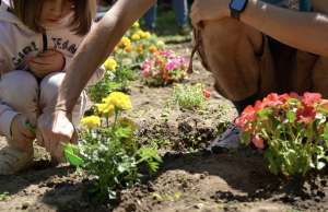 Al via In&Aut 3.0, il progetto per bambini e giovani adulti con disabilità