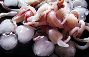 Pesce scaduto pronto alla vendita: maxi sequestro nel Lodigiano
