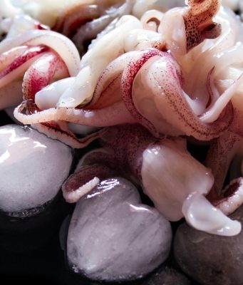 Pesce scaduto pronto alla vendita: maxi sequestro nel Lodigiano