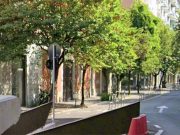 Via Nino Dall’Oro, raccolta firme per chiedere più controlli
