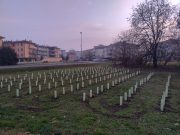 Nuovi polmoni verdi: completate due microforeste urbane