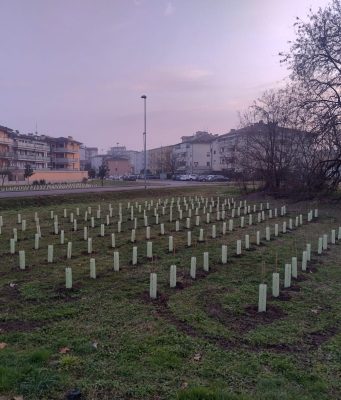 Nuovi polmoni verdi: completate due microforeste urbane