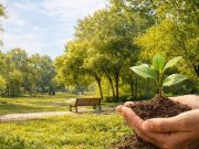 Lodi presenta il Piano del Verde: sabato confronto pubblico in Biblioteca