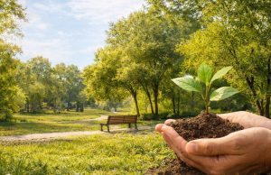 Lodi presenta il Piano del Verde: sabato confronto pubblico in Biblioteca