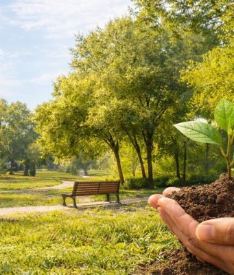 Lodi presenta il Piano del Verde: sabato confronto pubblico in Biblioteca