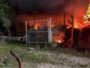 Fiamme in una scuderia a Sant’Angelo: quattro cavalli messi in salvo