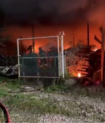 Fiamme in una scuderia a Sant’Angelo: quattro cavalli messi in salvo