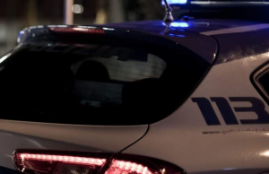 Mucche in Tangenziale, decisivo l’intervento di un autosoccorso lodigiano