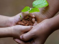 Giornata della Terra, i giovani protagonisti nella cura della città