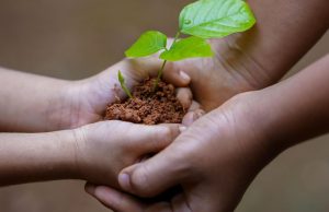 Giornata della Terra, i giovani protagonisti nella cura della città