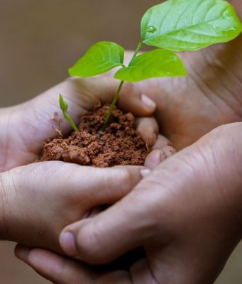Giornata della Terra, i giovani protagonisti nella cura della città