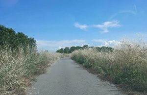 Ciclovia VENTO, AMA IL TUO PAESE segnala criticità