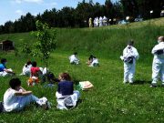 ApiDay a SanfereOrto: laboratori, degustazioni e picnic