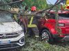 Maltempo nel Lodigiano: danni e strade chiuse in più comuni