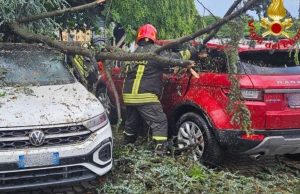 Maltempo nel Lodigiano: danni e strade chiuse in più comuni