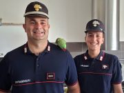 Tea torna a casa: i Carabinieri ritrovano il pappagallo smarrito