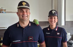 Tea torna a casa: i Carabinieri ritrovano il pappagallo smarrito
