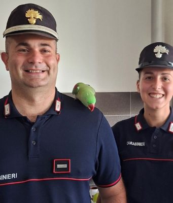 Tea torna a casa: i Carabinieri ritrovano il pappagallo smarrito