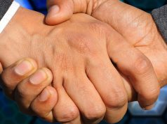 Bcc Centropadana, oltre 258 mila euro per sostenere il territorio