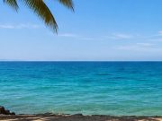 Trasmissioni sospese fino al 1° settembre. Buone Vacanze