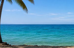 Trasmissioni sospese fino al 1° settembre. Buone Vacanze