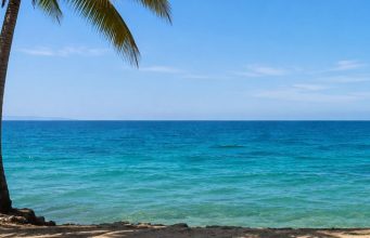Trasmissioni sospese fino al 1° settembre. Buone Vacanze